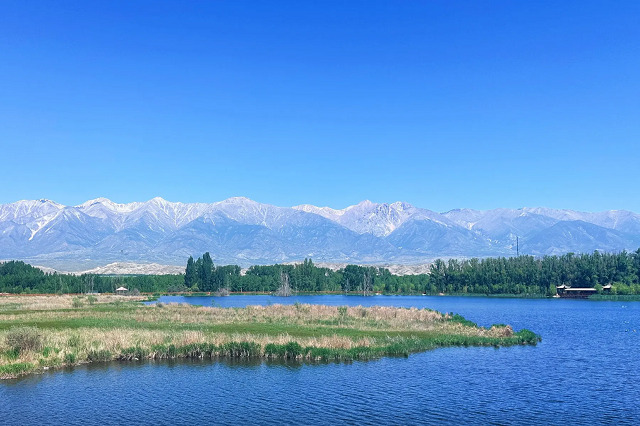 夏尔希里自然保护区